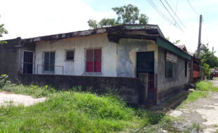 1243827 pic001