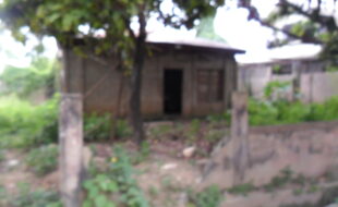 1285372 pic001