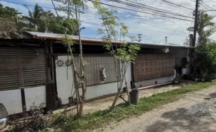 Foreclosed Properties Philippines Database 21 1286633 pic001