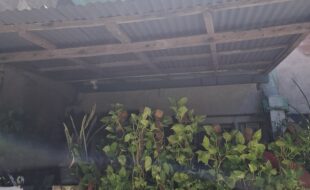 Foreclosed Properties Philippines Database 20 1288355 pic001