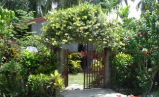 Foreclosed Properties Philippines Database 27 1292254 pic001