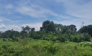 Foreclosed Properties Philippines Database 24 1295807 pic001