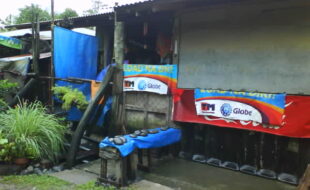 1299193 pic001