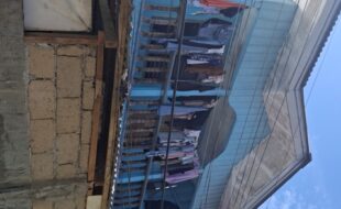 1302356 pic001