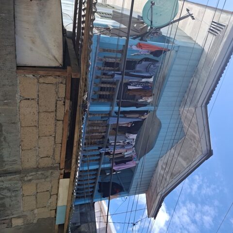 1302356 pic001 rotated