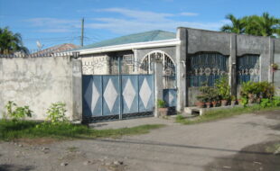 1331707 pic001