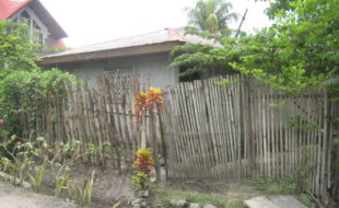1331818 pic001