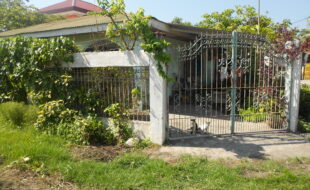 1332064 pic001