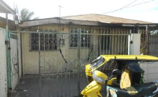 1334822 pic001