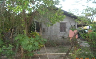 1343512 pic001