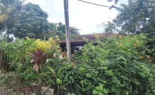 Foreclosed Properties Philippines Database 3 1347035 pic001