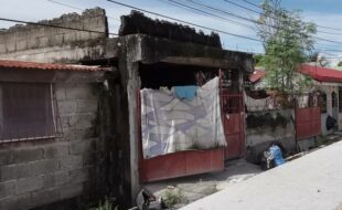 1349628 pic001
