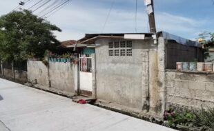 1351195 pic001
