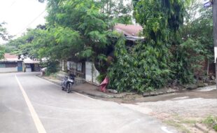 1352449 pic001