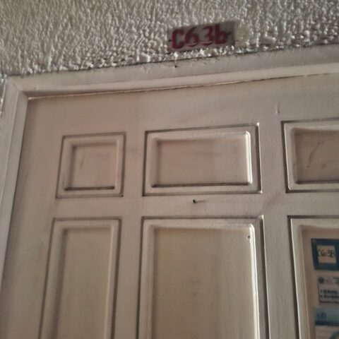 1357713 pic001 rotated