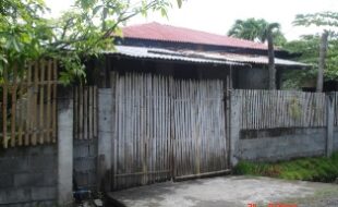 1358429 pic001