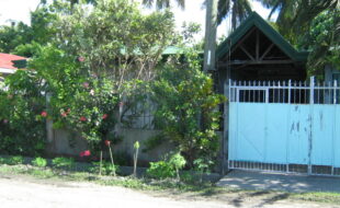 1358475 pic001