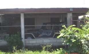 1358547 pic001