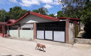 Foreclosed Properties Philippines Database 7 1359585 pic001
