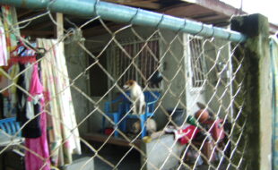 DIGITAL CAMERA
