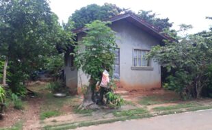 1367466 pic001