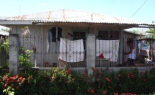 1373238 pic001