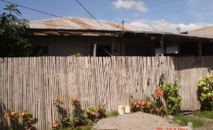 1373356 pic001