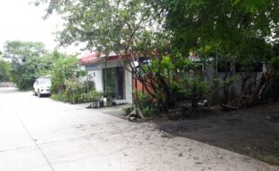 1380618 pic001