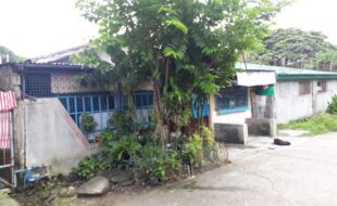 1380657 pic001