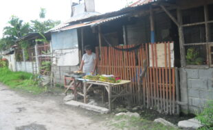 1385613 pic001