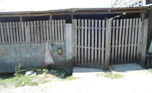 1385691 pic001