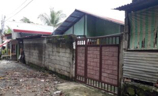 1387826 pic001