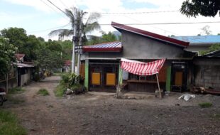 1387858 pic001
