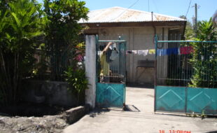 1398919 pic001