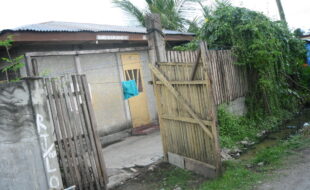 1415687 pic001