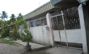 1415694 pic001