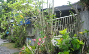 1415773 pic001