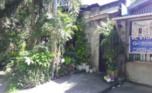 1417391 pic001