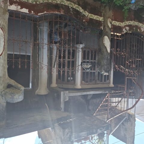 1421957 pic001 rotated