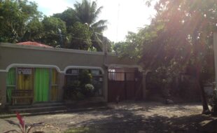 1423195 pic001