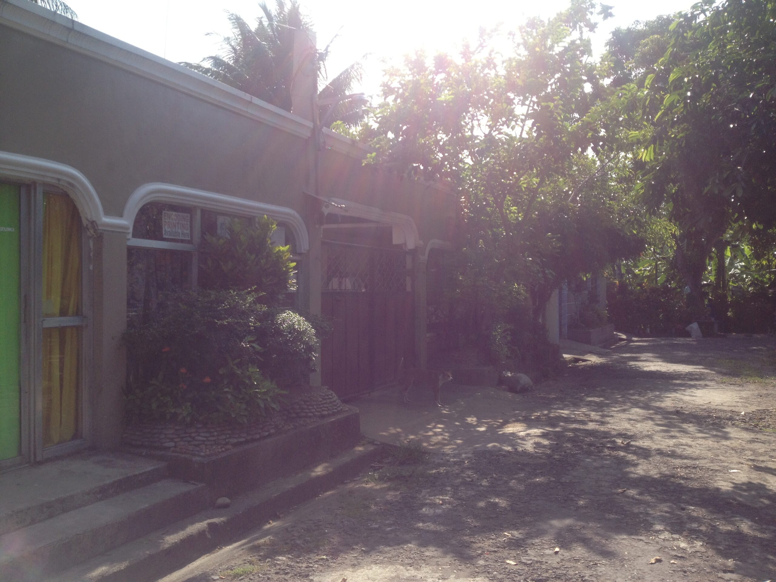 1423195 pic002 scaled