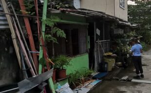 1424678 pic001