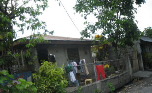 1426296 pic001