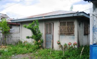 1426329 pic001
