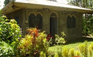1446276 pic001