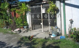 Foreclosed Properties Philippines Database 22 1447171 pic001