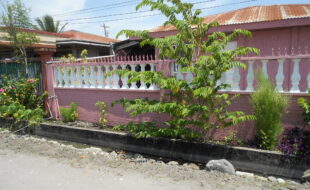 1447196 pic001