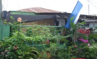 1447204 pic001