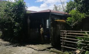 1454687 pic001