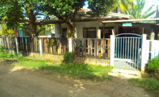 1458185 pic001